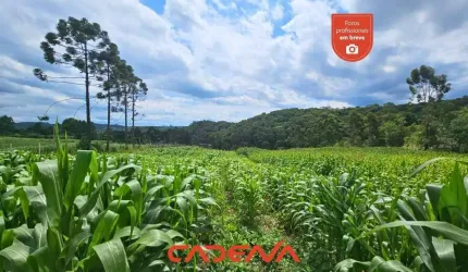 Chácara à venda em Mandirituba