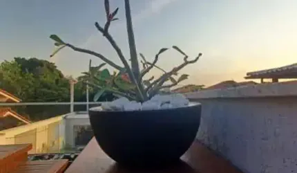 Casa à venda no bairro Itaipu - Niterói/RJ