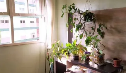 Apartamento de 2 dormitórios com vaga no bairro Petrópolis