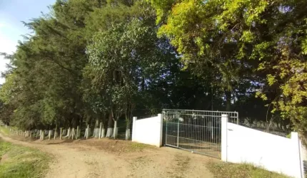Chácara / sítio à venda na Rua Da Imigração Ucraniana, Guajuvira, Araucária por R$ 1.800.000