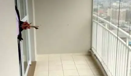 Apartamento em Parque Maria Luiza  -  São Paulo