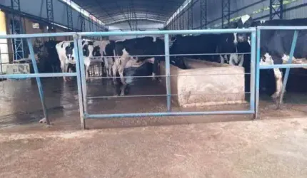 Fazenda á venda - 109 Hectares - localização entre Varginha e Pouso Alegre