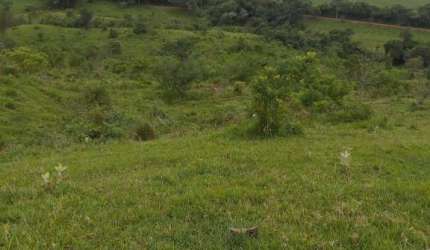 Área de 145.200 m²  á venda em Tatuí/SP