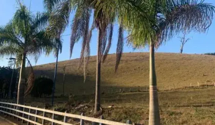 Fazenda á venda em Piranguinho - MG com 32 hectares