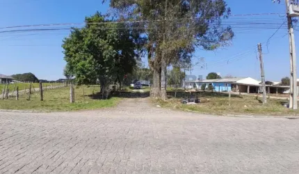 Terreno à venda na Rua Joaquim Alves Fontes, 1864, Colônia Murici, São José dos Pinhais, 17393 m2 por R$ 2.600.000