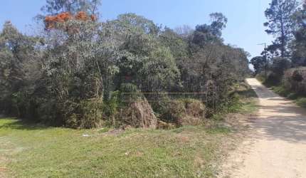 Terreno à venda na Rua Manoel Pires Cordeiro, 1682, Borda do Campo, São José dos Pinhais por R$ 199.000