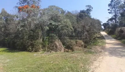 Chácara / sítio com 1 quarto à venda na Rua Manoel Pires Cordeiro, 1682, Borda do Campo, São José dos Pinhais por R$ 199.000