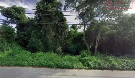 Terreno para Venda em Mairiporã, Jardim Samambaia