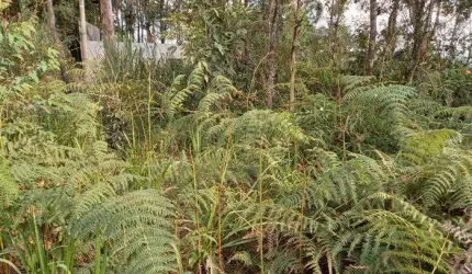 Terreno para Venda em Mairiporã, Village Estoril