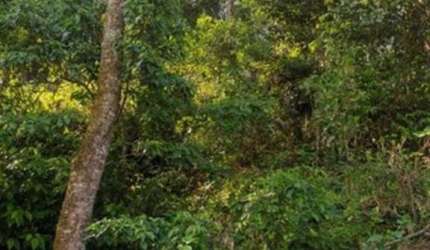 Terreno para Venda em Mairiporã, Santa Inês