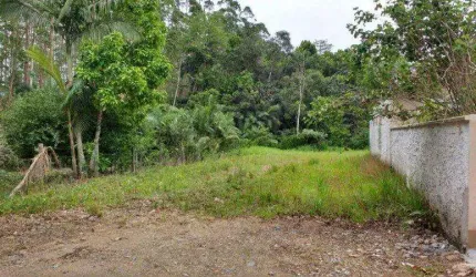 Terreno residencial/industrial - Testo Central