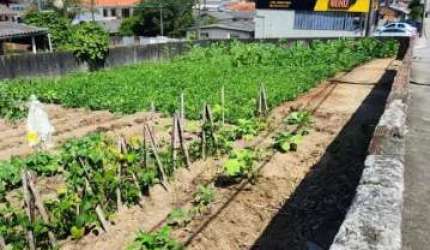 Excelente terreno à venda no bairro Real Parque de 378m2. - TE1345