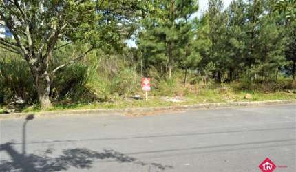 Terreno Urbanizado - Bairro Vila Verde