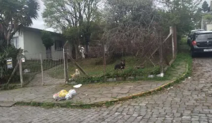 Terreno para Venda - 452m², 0 dormitórios, São Leopoldo