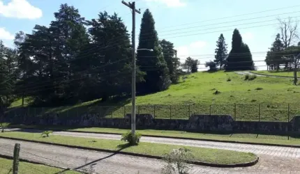 Terreno para Venda - 10000m², 0 dormitórios, Fazenda Souza