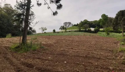 Chácara para Venda - 0m², 0 dormitórios, Linha 40