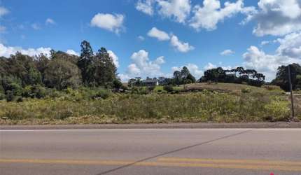 Área para Venda - 10000m², 0 dormitórios, Forqueta