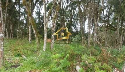 TERRENO EM CAMPINA GRANDE DO SUL