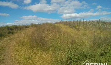 Chácara  Caravagio Sexta Legua - CH00654