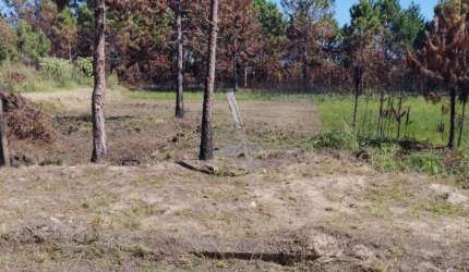 TERRENO à venda no Bairro CAPÃO NOVO