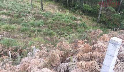 Terreno à venda na Rua Guerino Sanvitto, 0000, Sanvitto, Caxias do Sul por R$ 2.300.000
