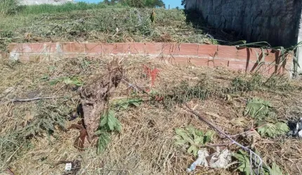 Terreno à venda no Belveder Clube dos 500, Guaratinguetá  por R$ 150.000