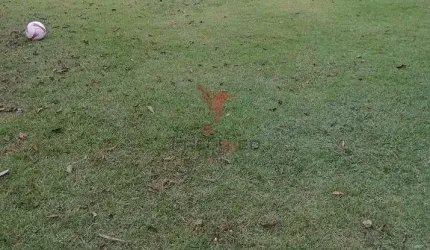 Terreno plano de 1100 mts2, á venda na Colônia em Guaratinguetá. Analisa permuta
