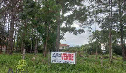 Terreno à venda, 2000 m² por R$ 6.500.000,00 - Campeche - Florianópolis/SC