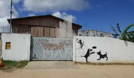 Barracão / Galpão / Depósito para alugar na Estrada Jorge Pereira Nunes, 35, Campo Novo, Porto Alegre por R$ 4.000