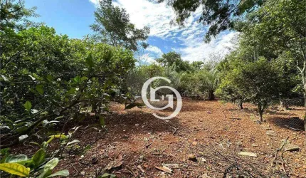 Chácara com 3 dormitórios à venda, 36300 m² por R$ 1.500.000 - Condomínio de Chácaras Mirante do Parque - Santa Tereza do Oeste/PR