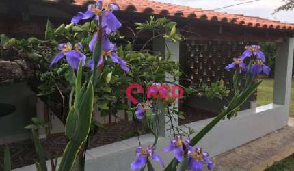 Chácara com 2000 m² à venda por R$ 405.000 - Distrito do Porto - Capela do Alto/SP