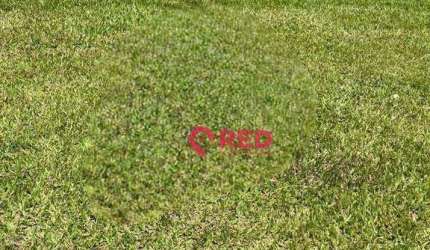 Terreno à venda, 1000 m² por R$ 510.000,00 - Condomínio Vale do Lago - Sorocaba/SP