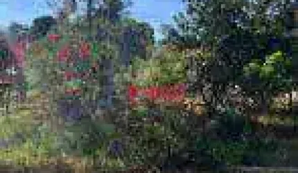 Terreno à venda, 1100 m² por R$ 255.000,00 - Monte Bianco - Araçoiaba da Serra/SP