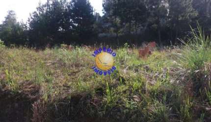 Terreno à venda no São Caetano, Caxias do Sul , 386 m2 por R$ 200.000