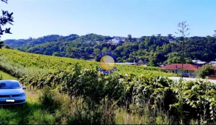Chácara / sítio à venda no São Luiz da Sexta Légua, Caxias do Sul , 50000 m2 por R$ 1.250.000