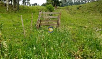 Chácara / sítio à venda no Santa Lúcia do Piaí, Caxias do Sul , 513000 m2 por R$ 2.990.000