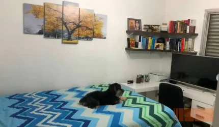 Apartamento de 39m2, 01 dormitório, Mobiliado - Cambuci/SP -  R$ 280.000,00