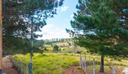 Chácara / sítio à venda na José Carlos Pereira Dos Santos, 800, Rancho Alegre, Campina Grande do Sul por R$ 630.000
