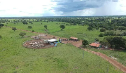 Fazenda com 4 dormitórios à venda, 160058800 m² por R$ 200.000.000,00 - Centro - Bonópolis/GO