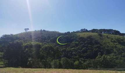 Sítio à venda, 605000 m² por R$ 13.200.000,00 - Roncador - São Francisco Xavier/SP