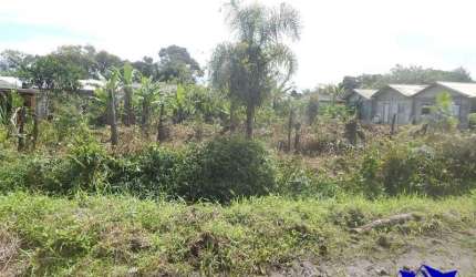 TERRENO COM VIABILIDADE CONSTRUTIVA