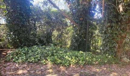 Terreno à venda, 600 m² por R$ 175.000,00 - Alvarenga - São Bernardo do Campo/SP