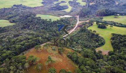 FAZENDA EM GUARAPUAVA PR