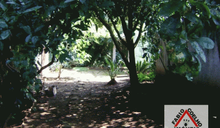 Casa Residencial à venda, Jardim Ipanema (Zona Sul), São Paulo - CA0439.
