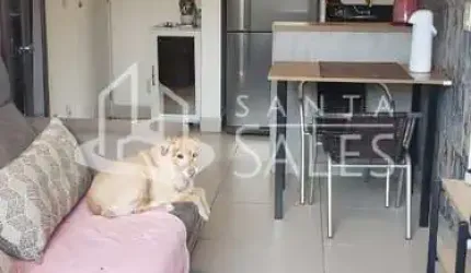 Apartamento à venda em São Paulo-SP, Vila Vitório Mazzei: 3 quartos, 1 suíte, 1 sala, 2 banheiros, 2 vagas, 97m². Imperdível!