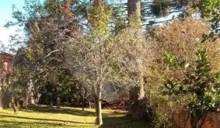 Terreno à venda em Boa Vista - PR