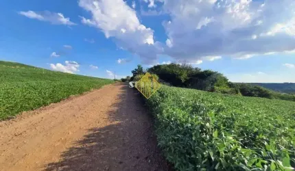 Chácara à venda, Parque Industrial 200 - Maringá/PR