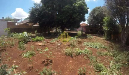 Lote à venda, Centro - Toledo/PR