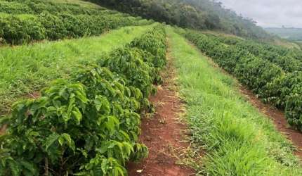 Fazenda com 10 dormitórios à venda, 750200 m² por R$ 13.000.000,00 - Rural - Ibiraci/MG