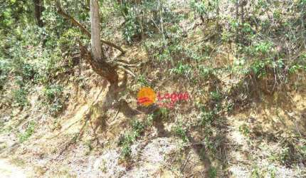 Terreno à venda, 494 m² por R$ 120.000,00 - Engenho do Mato - Niterói/RJ